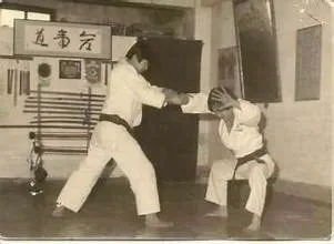 Historical Jin Jung Kwan Hapkido training