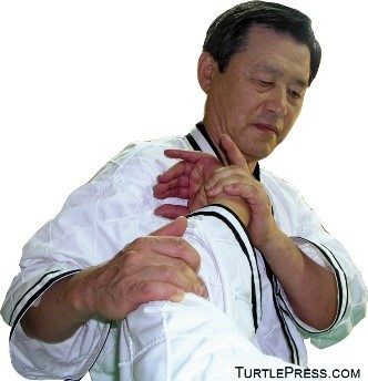 Grandmaster Myung Yong Kim